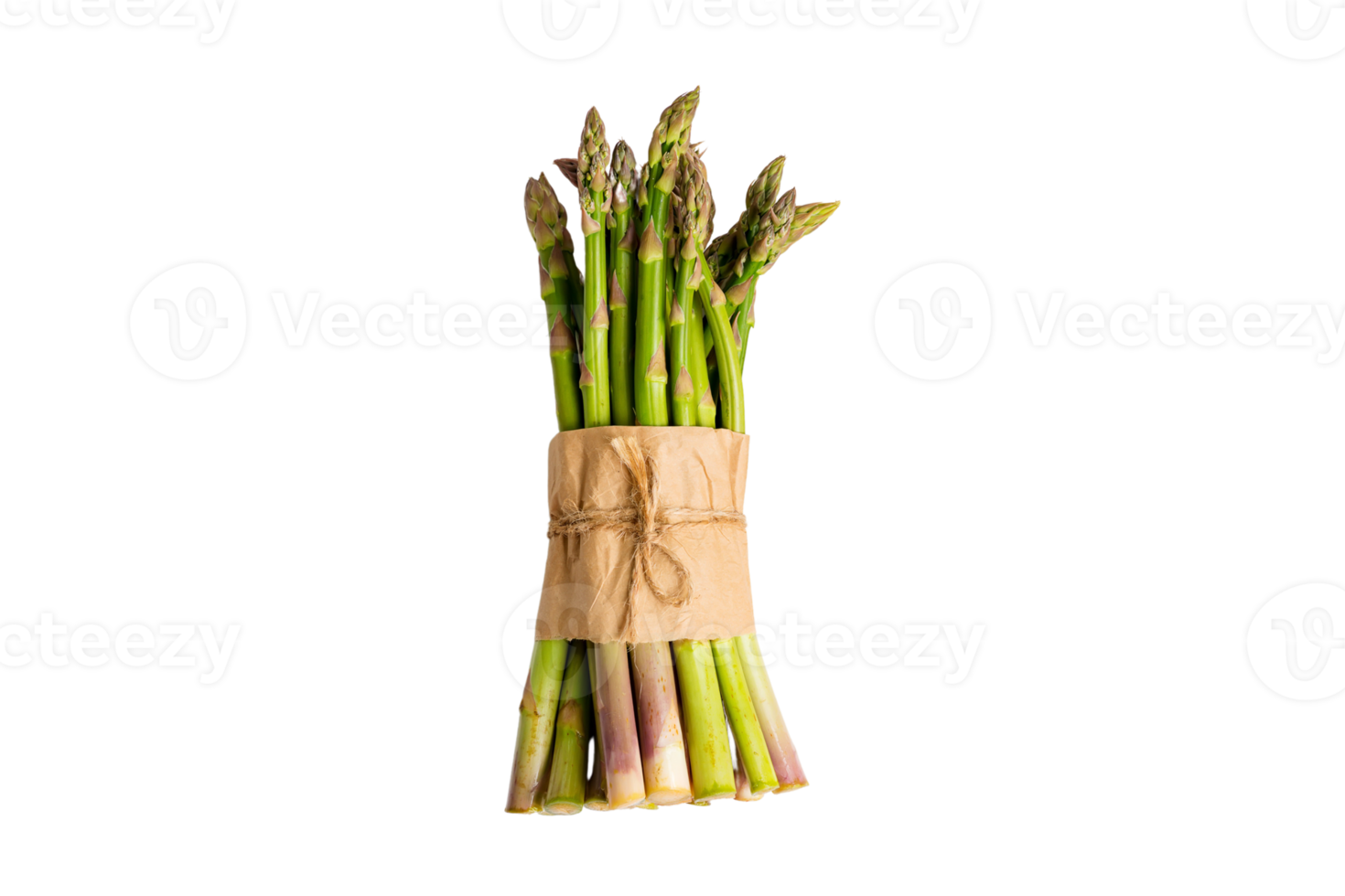 Fresh sparagus isolated on a transparent background png