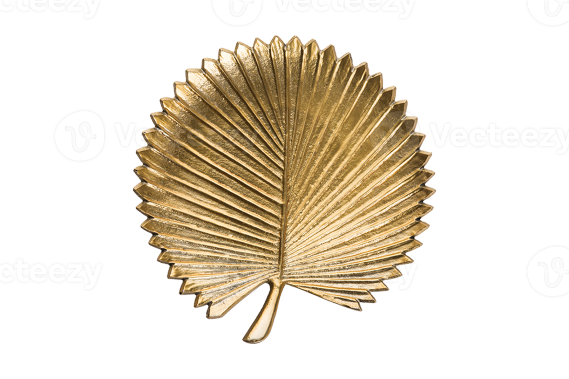 Golden decorative leaf plate isolated on a transparent background