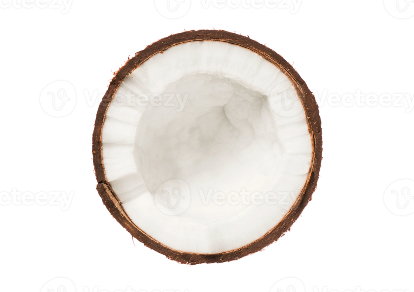 Half coconut fruit isolated on a transparent background png