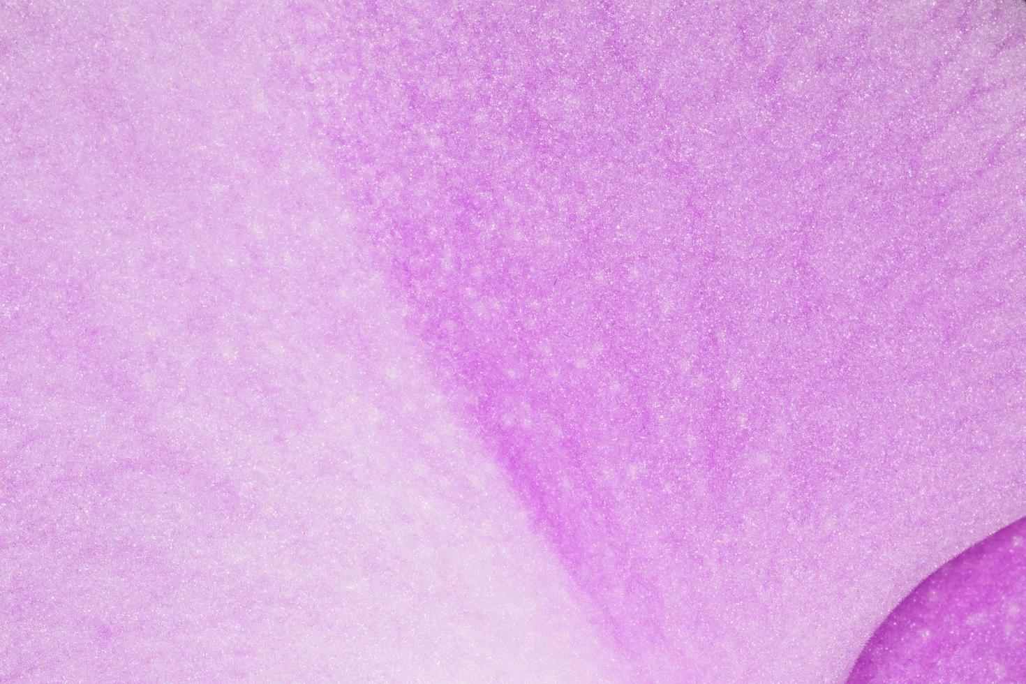 close up of purple orchid petal photo