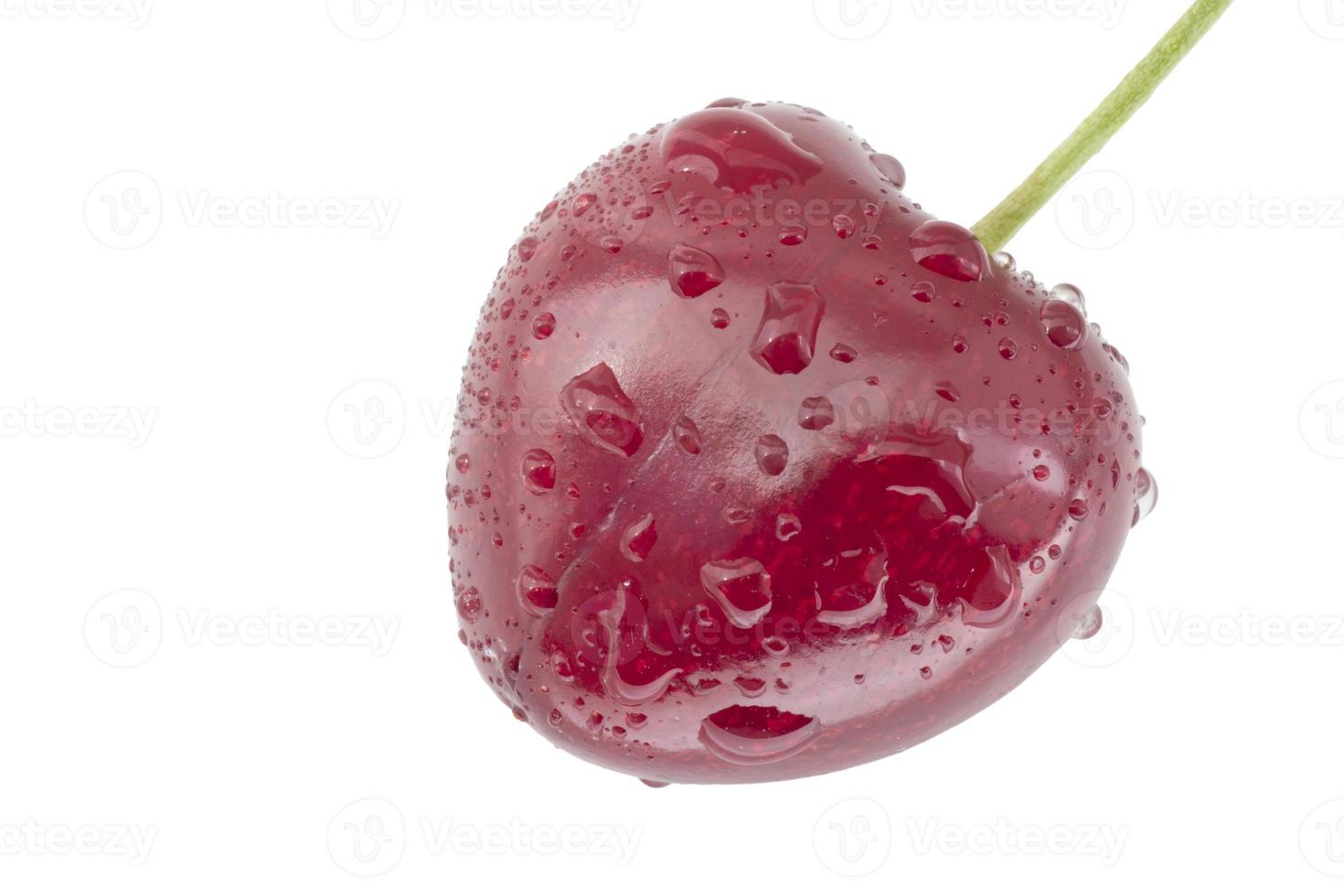 close up of wet ripe red cherry photo