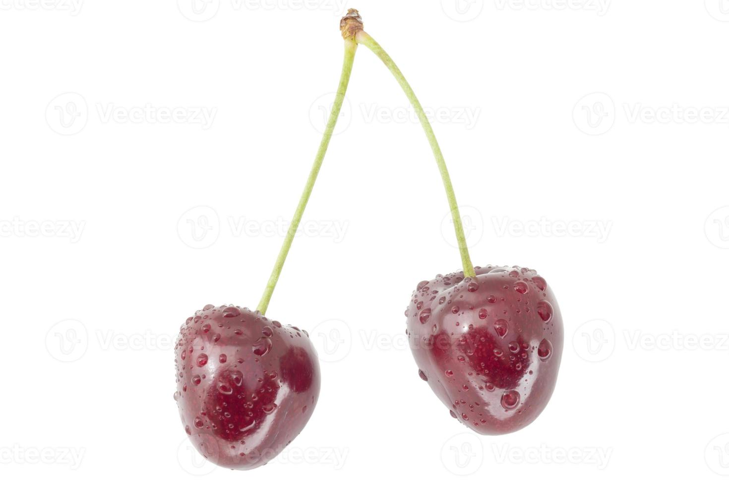 couple of wet red cherries isolated on white photo