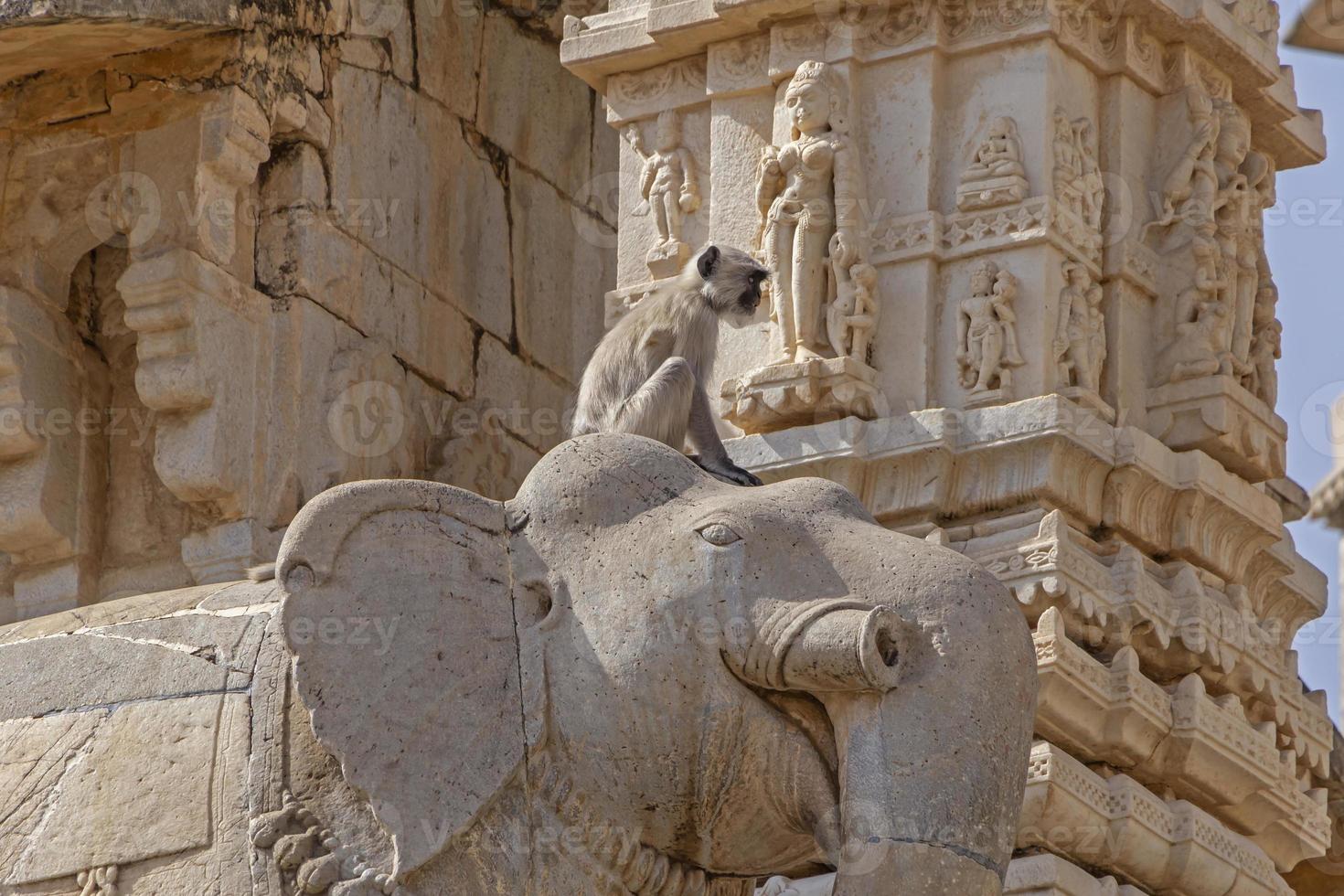 monkey sitting on statue of elephant at Krishna Meera Temple in Amer photo