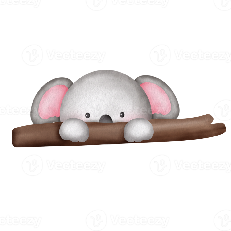 vattenfärg söt koala illustration ClipArt. png