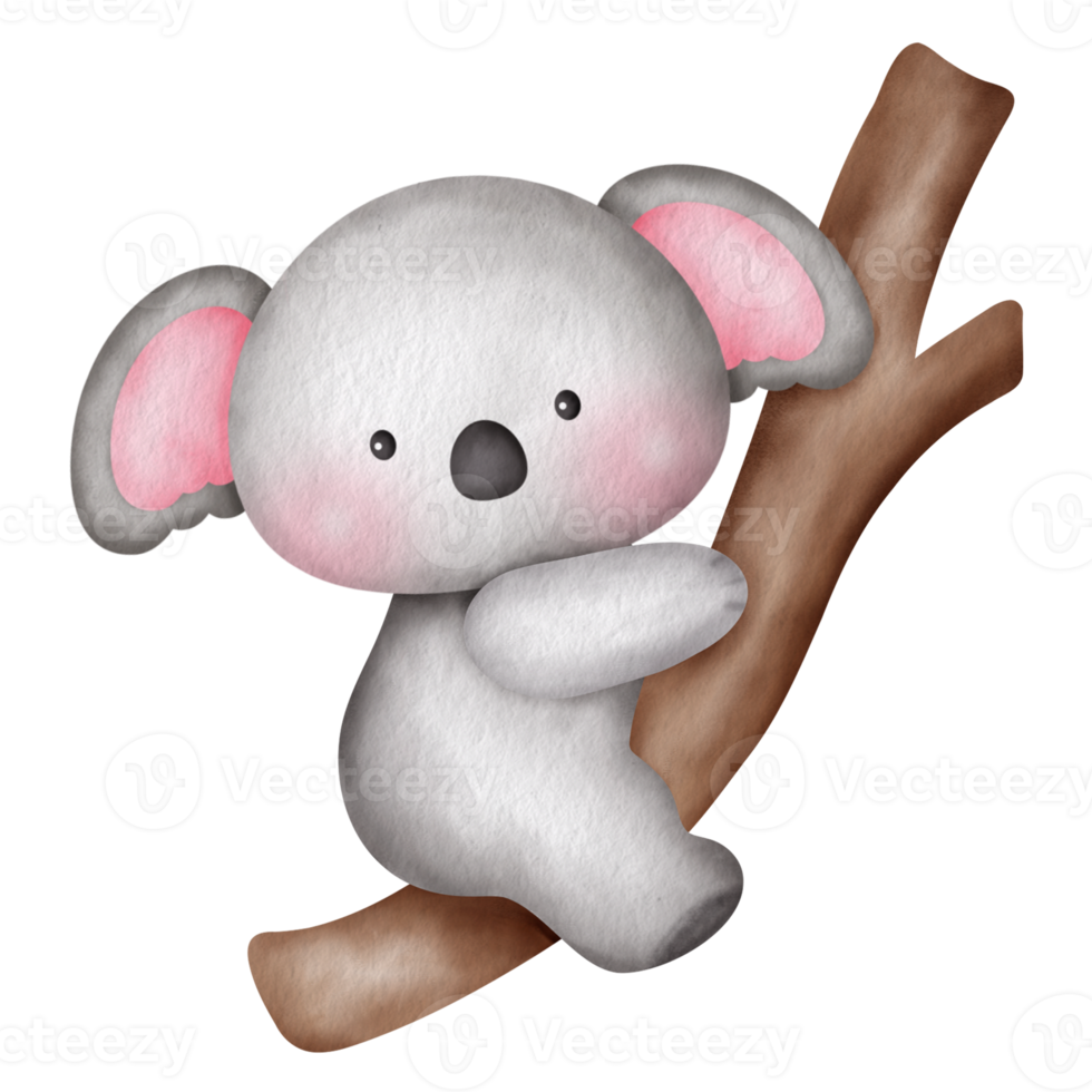 waterverf schattig koala illustratie clip art. png