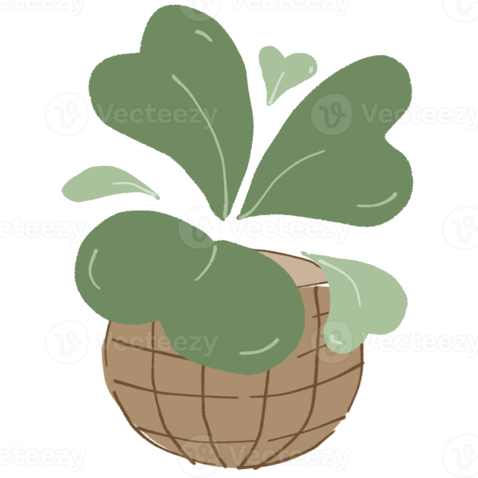 Minimal Plant in the Pot png