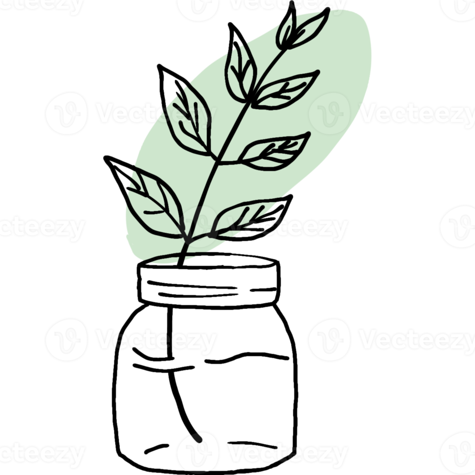 Doodle Plant with Freeform Shape png