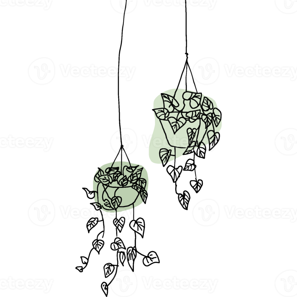 colgando garabatear planta con forma libre forma png