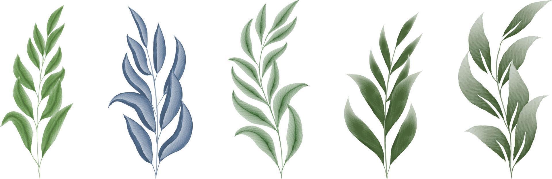 watercolor leaves set vector