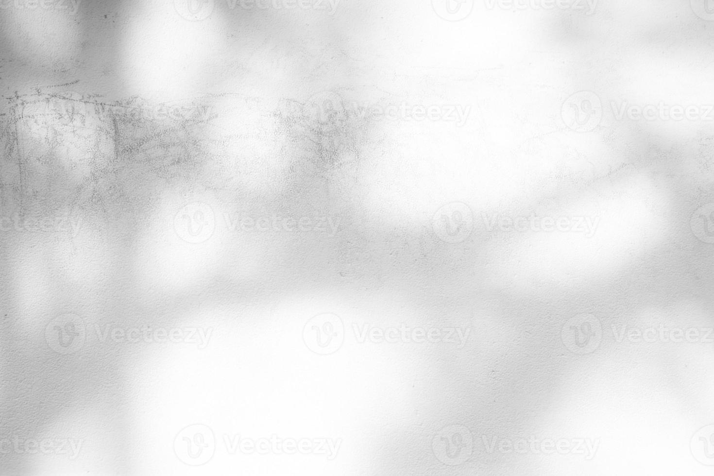 White Grunge Concrete Wall Texture Background with Light Bokeh and Shadow of Tree Branch on the Surface. photo