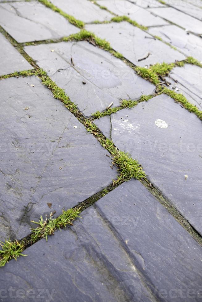 Slate floor with moss photo