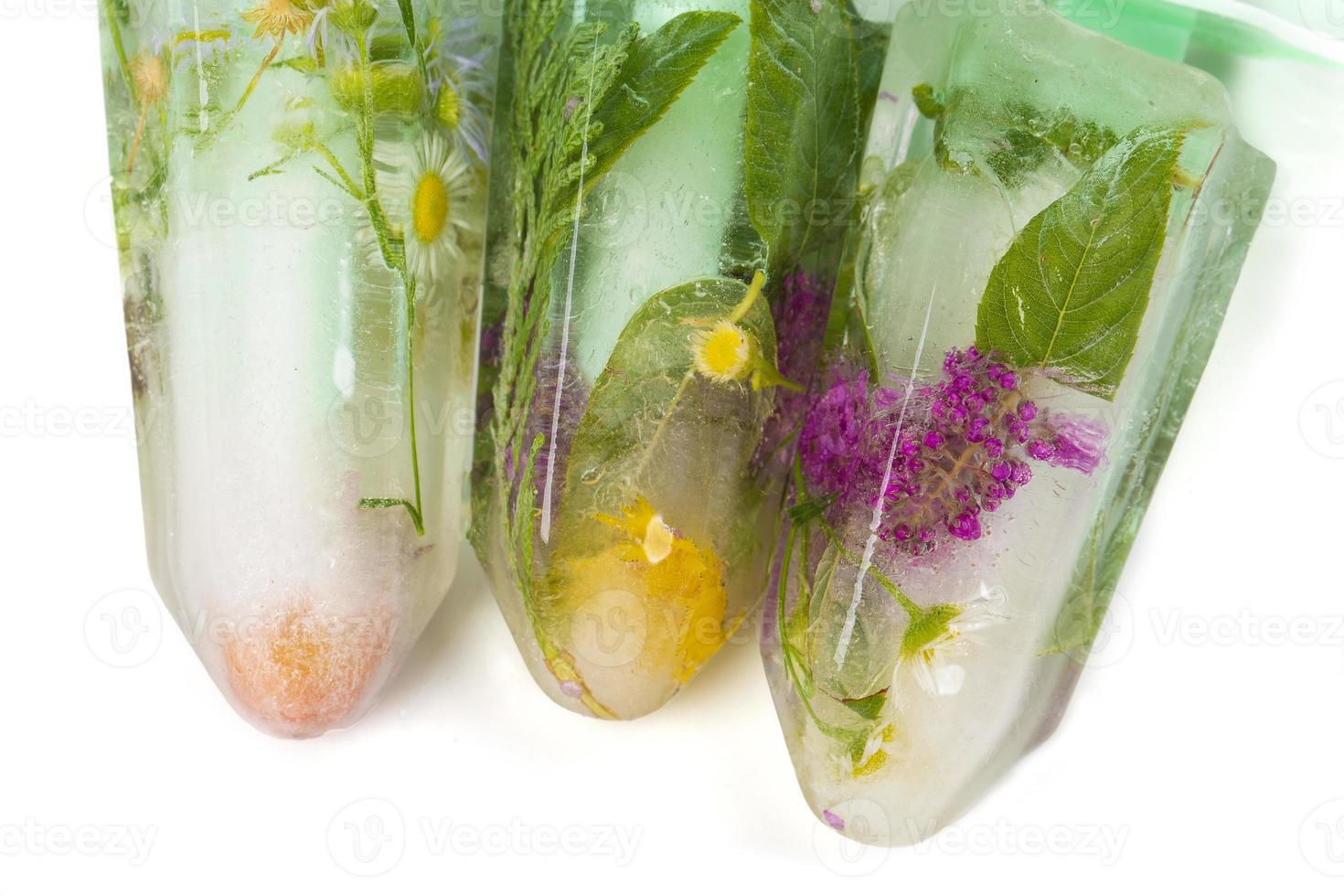 Various flowers in ice cubes. Creative floral background. Frozen beautiful plants. photo