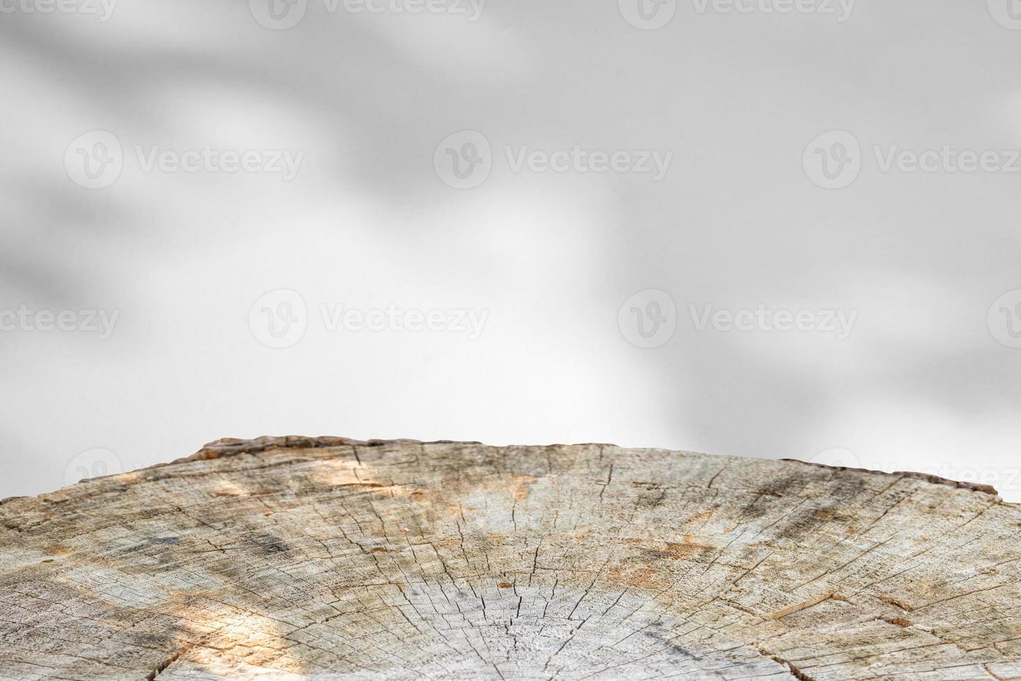 Tree stump with tree shadow drop on white wall background for mockup product display photo
