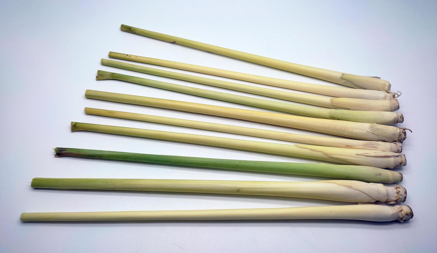 Lemongrass isolated on a white background photo