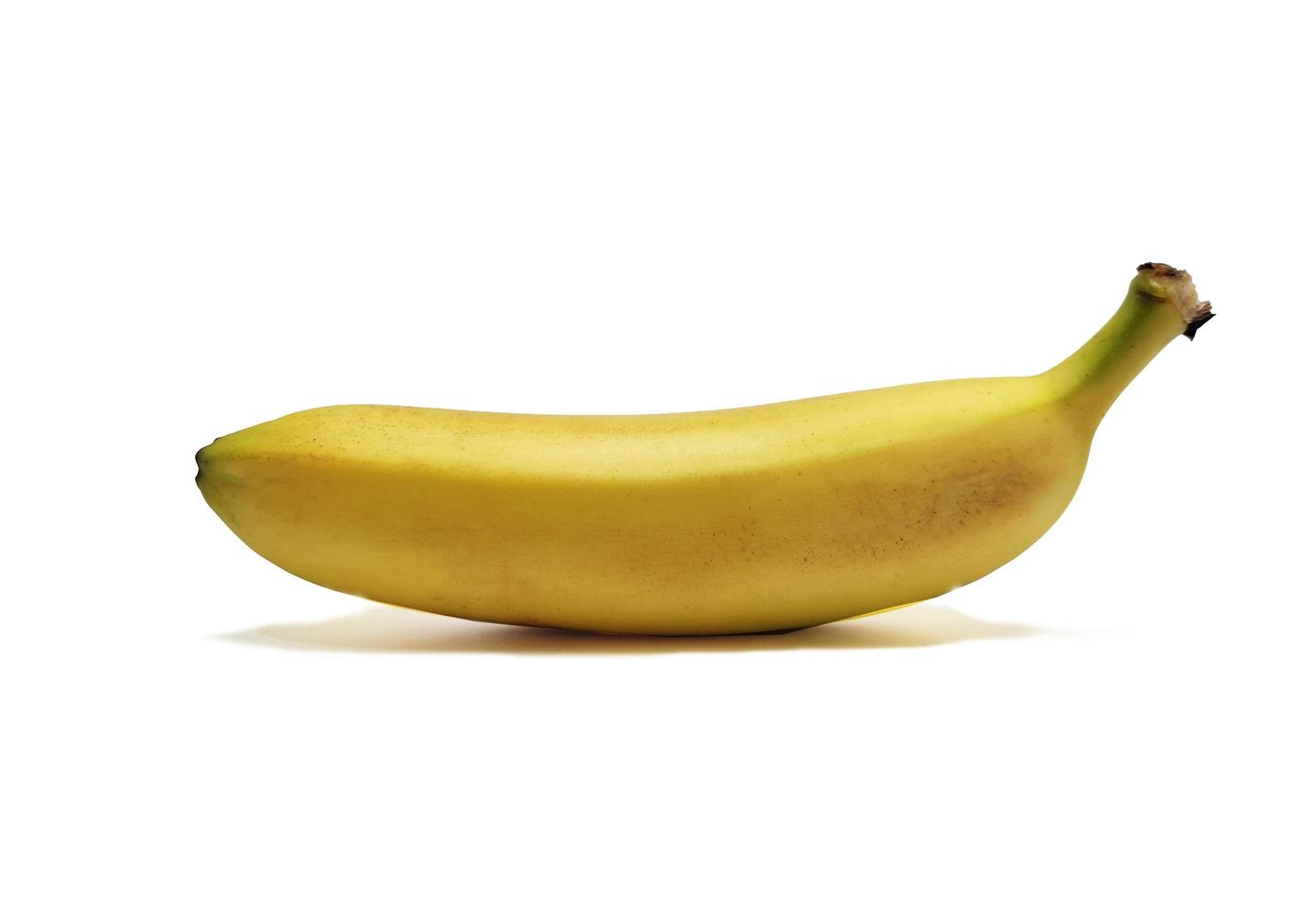 Cavendish banana isolated on white background. photo