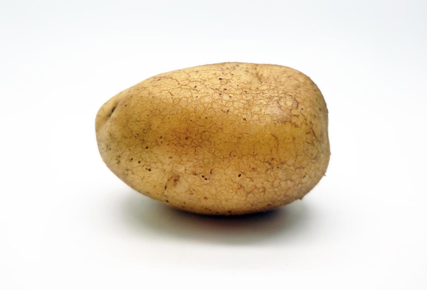 Potato, isolated in white background photo
