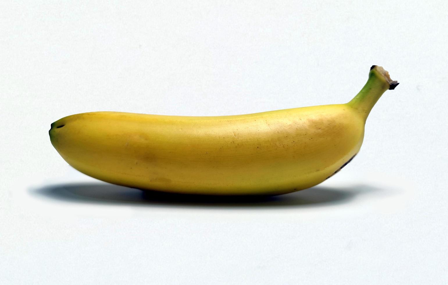 Cavendish banana isolated on white background. photo