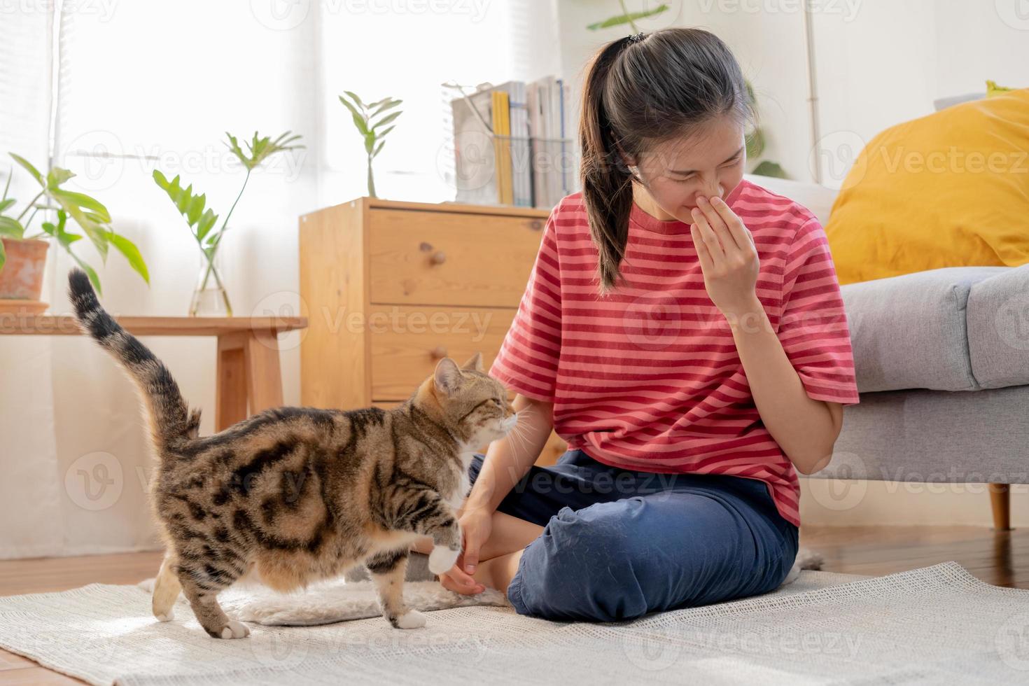 Asian young woman, girl hand in sneezing from fur allergy while playing with her lovely cat, pet on carpet in living room at home, apartment. Health care rhinitis diseases allergic to animal hair. photo