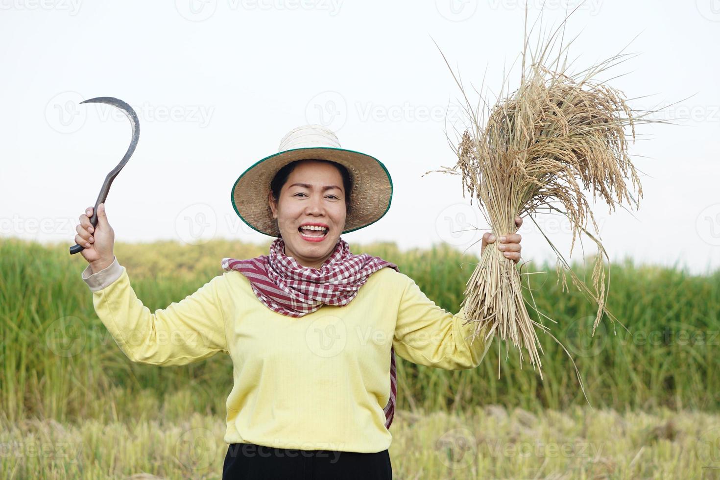 Happy Asian female farmer wear hat, Thai loincloth, holds sickle to harvest rice plants at paddy field. Concept, agriculture occupation, farmer grow organic rice.  Satisfied. photo