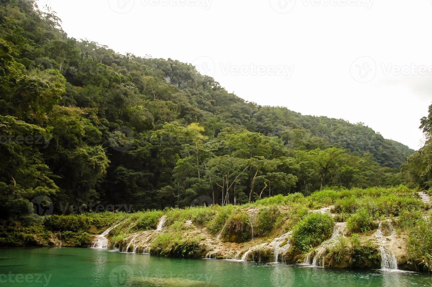 Scenic forest landscape photo