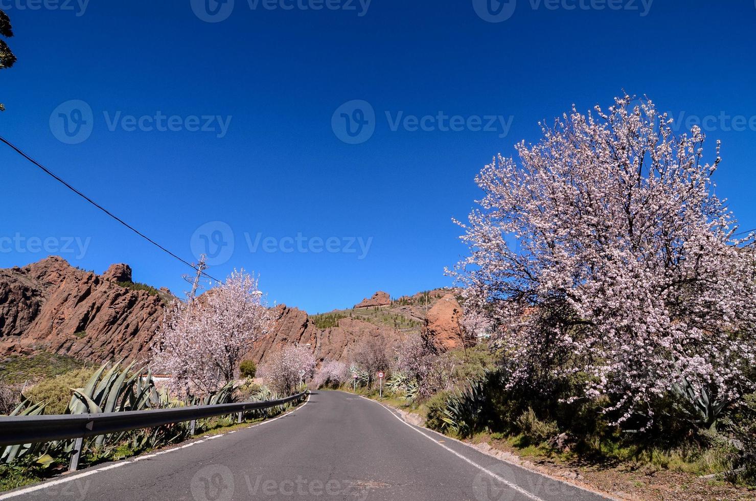 la carretera mediante el escénico paisaje foto