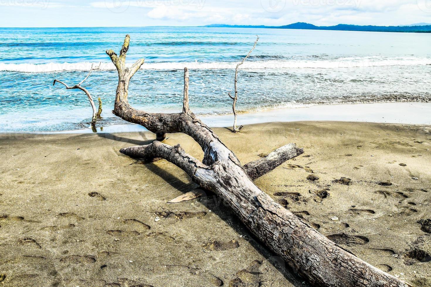 Scenic coastal view photo