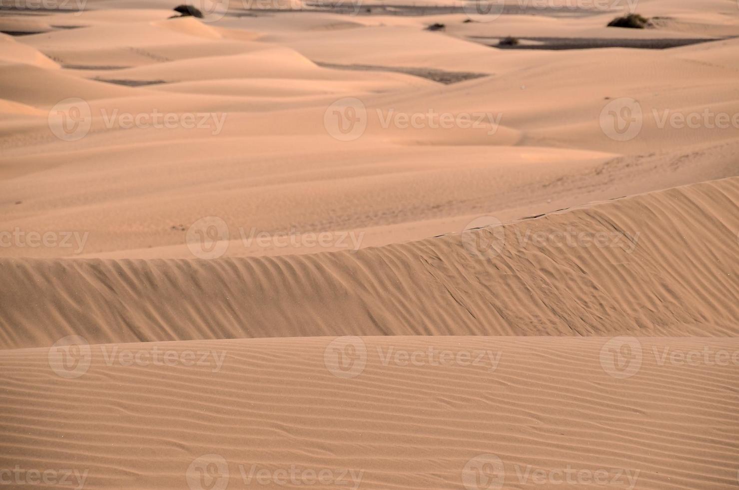 Scenic desert landscape photo