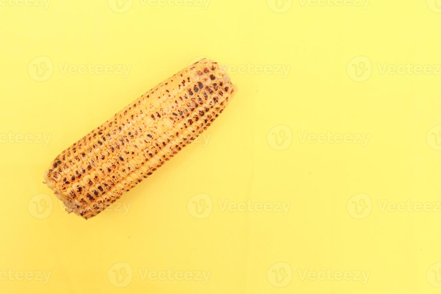 corn cob on yellow background close up photo