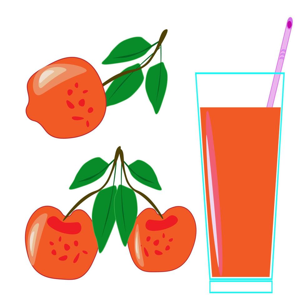 Fresh tropical fruits.A variety of fresh fruits and juices. Vector illustration of the vegetarian menu.