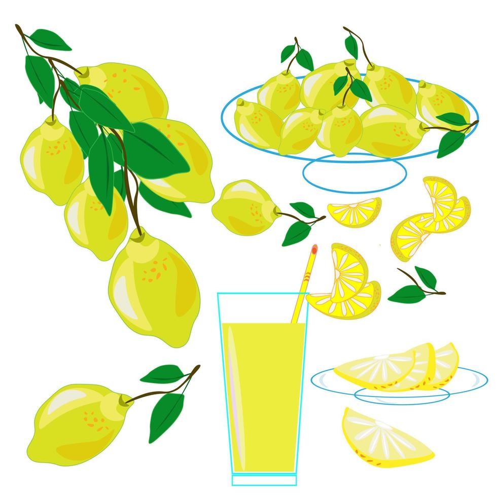 Fresh tropical fruits.A variety of fresh fruits and juices. Vector illustration of the vegetarian menu.