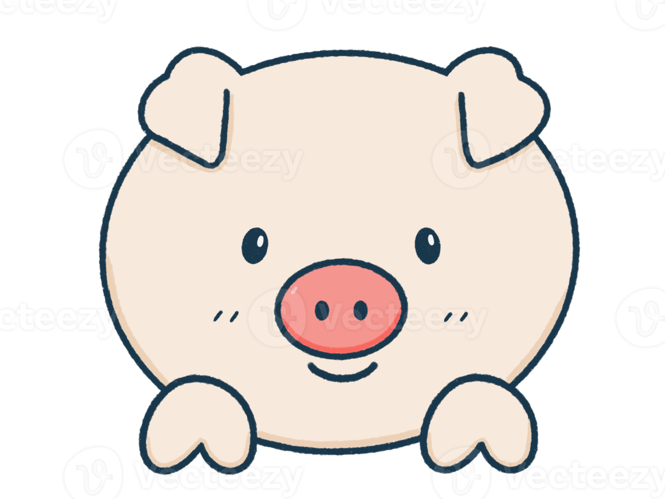 Cute pig isolated png