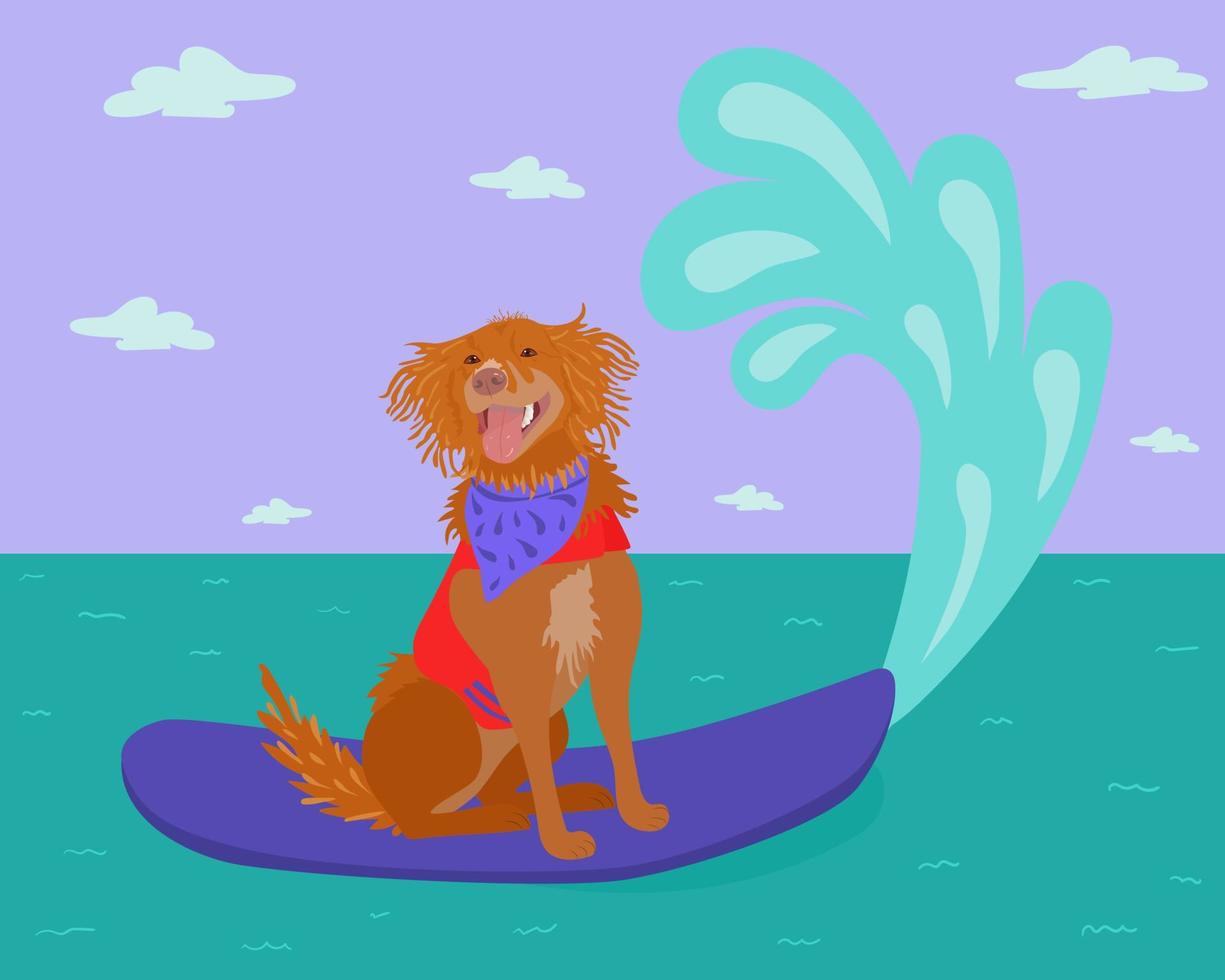 Cheerful labrador dog - surfer on a surfboard, having fun on the sea surrounded by sea waves, vector illustration , funny picture , positive mood