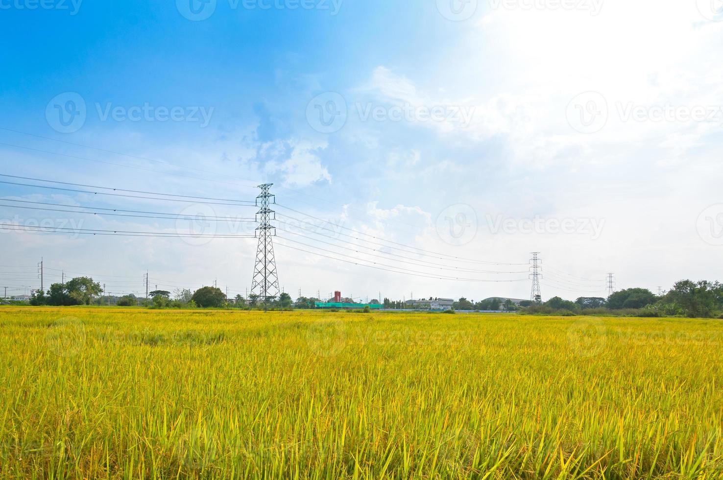 electricidad torres arroz campo con alto voltaje poder pilones campo a Tailandia foto