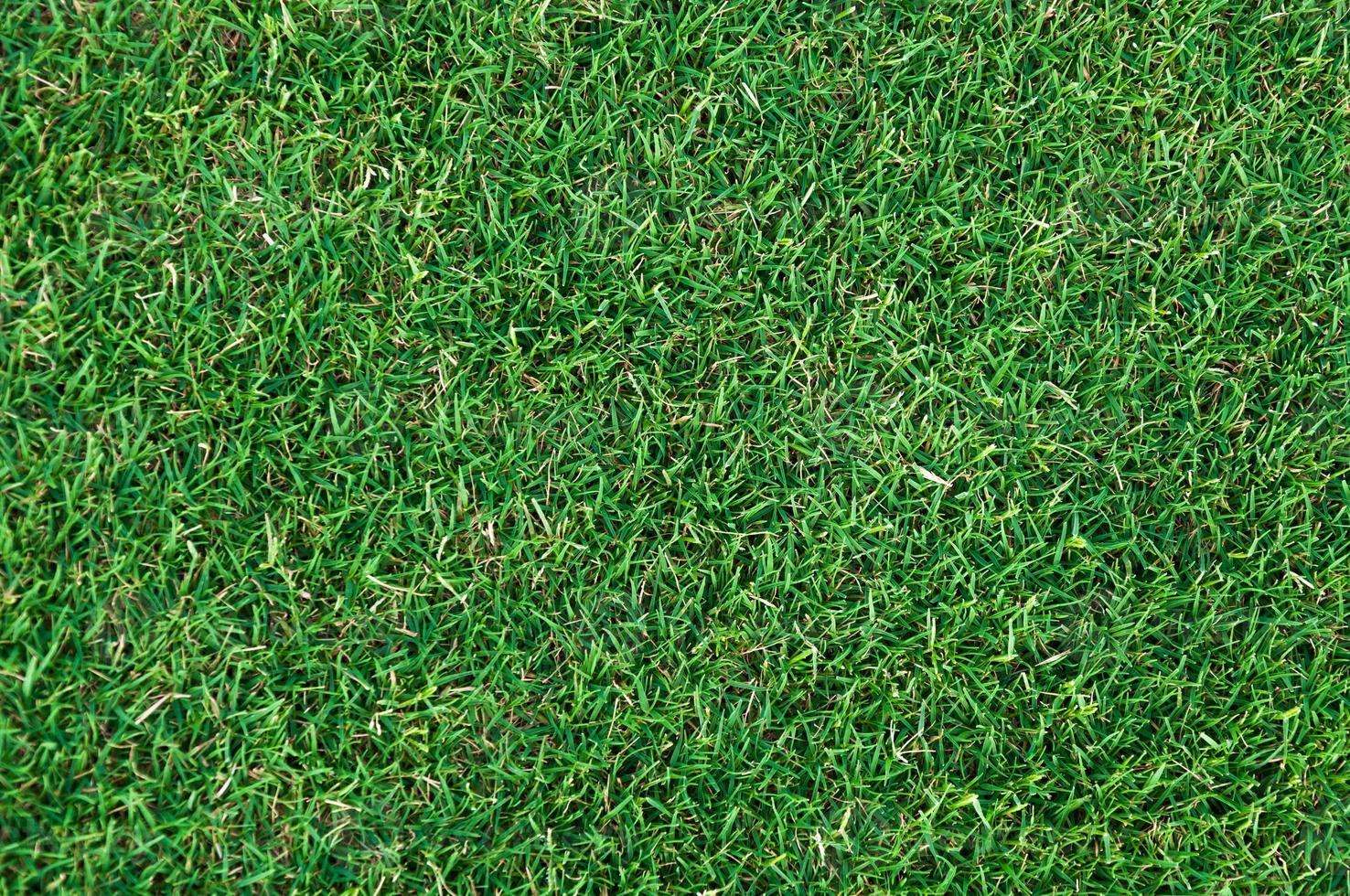 Football field green grass pattern textured background , textured grass for background photo