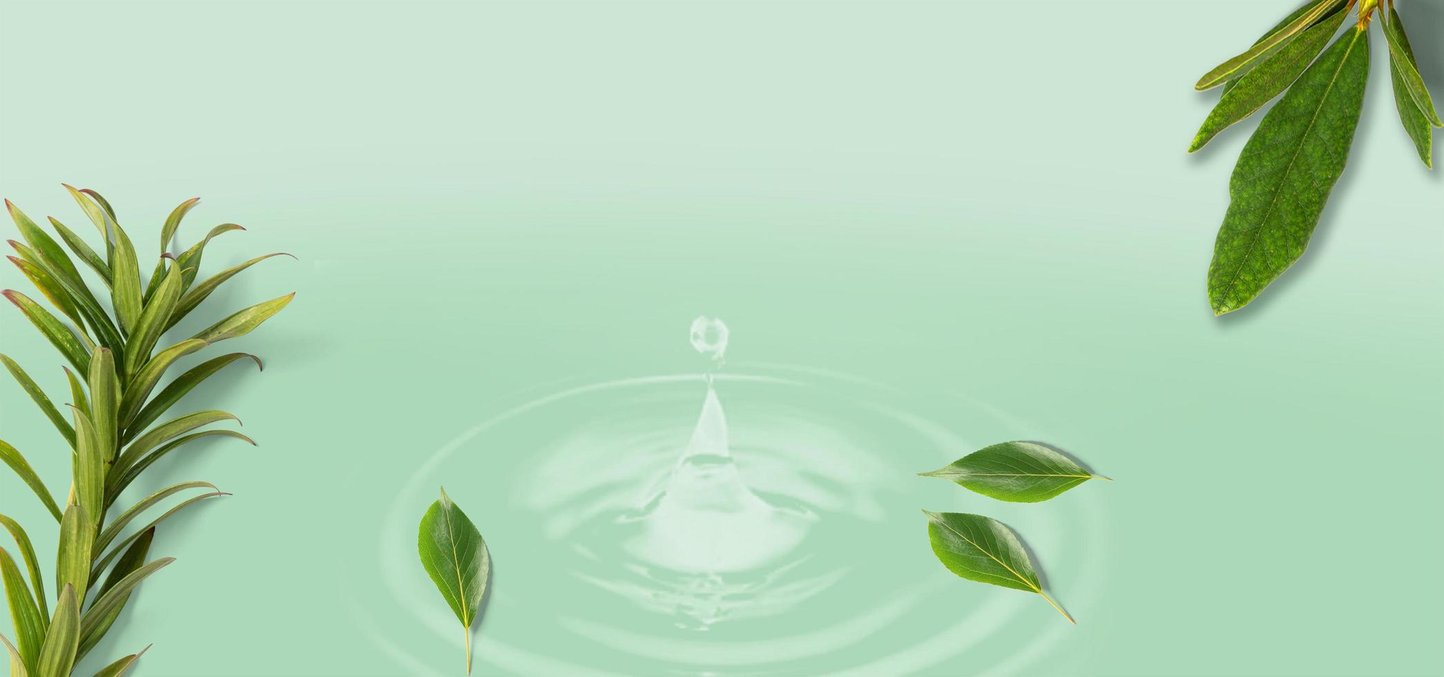 World Water Day Concept Banner. Every Drop Matters. Saving water and world environmental protection concept- isolated on white background and logo water drops photo