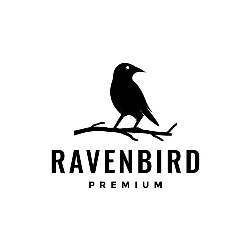 pájaro negro cuervo atención caza encaramado rama cielo fauna silvestre aislado logo diseño vector