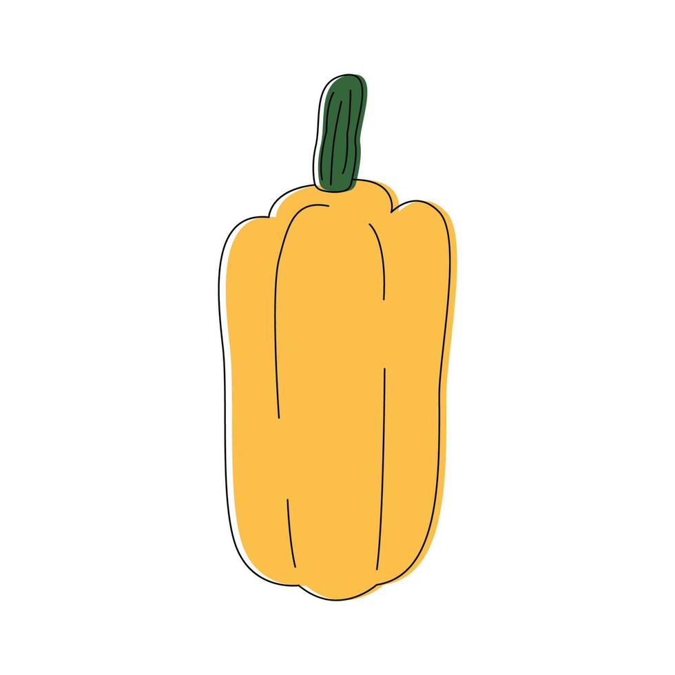 Yellow bell pepper line art. Fresh vegetable in cartoon style. Yellow sweet pepper icon isolated on white background. Hand drawn doodle vector illustration.