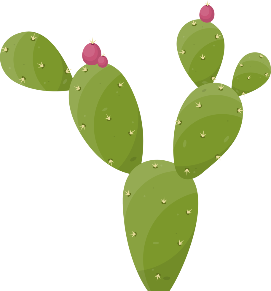 Cartoon desert cactus plant png