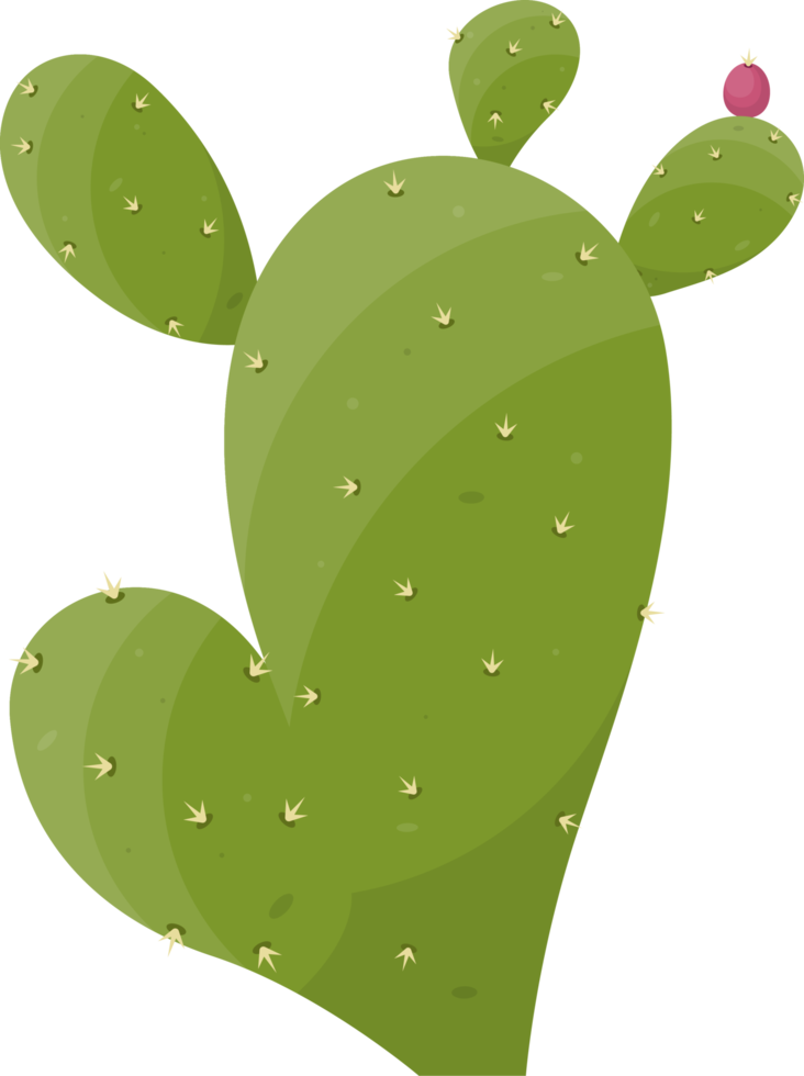 dibujos animados Desierto cactus planta png