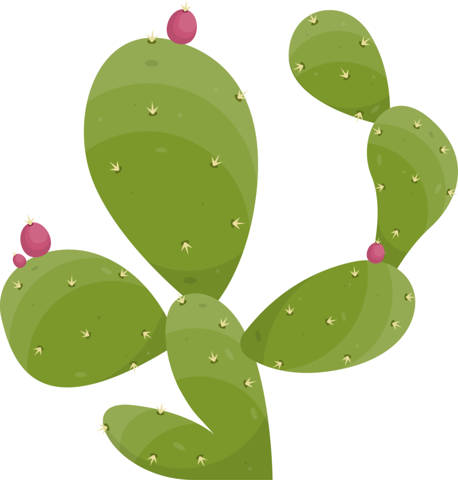 Cactus, Desenho, Coração png transparente grátis