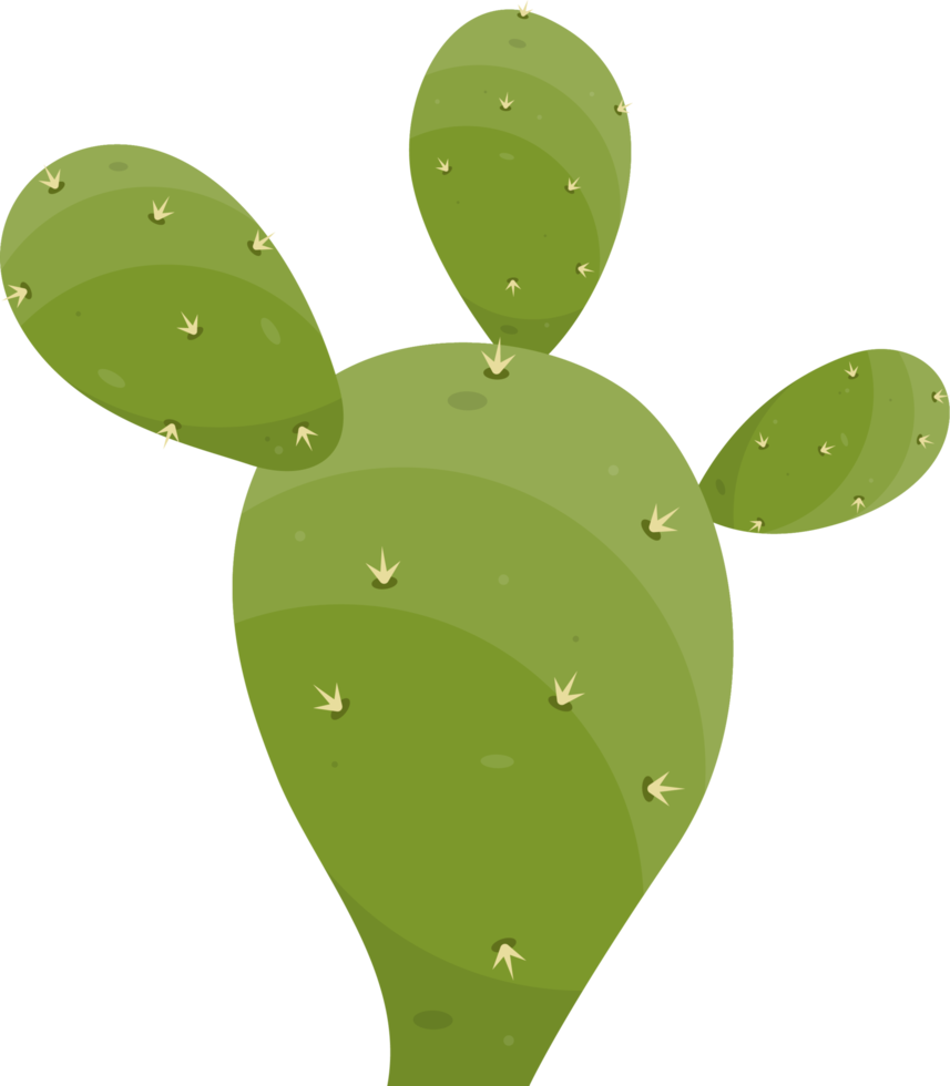 dibujos animados Desierto cactus planta png