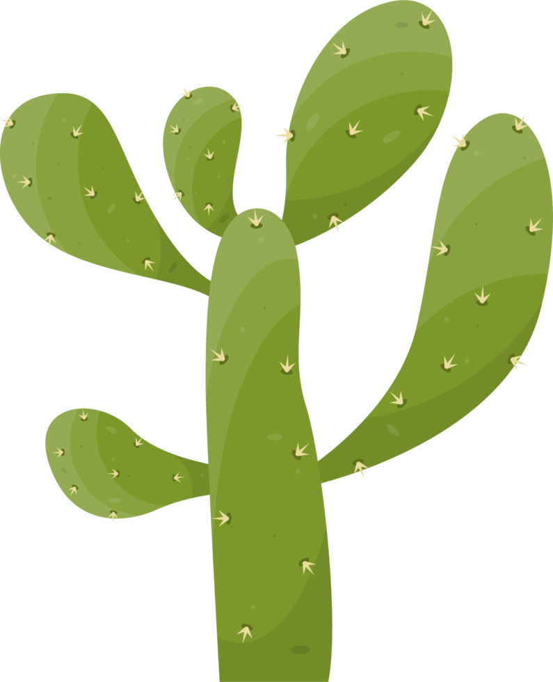 Cartoon desert cactus plant png
