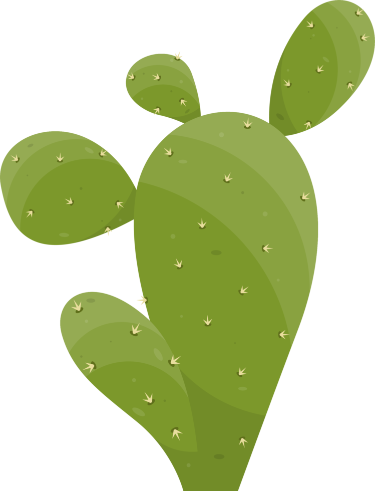 dibujos animados Desierto cactus planta png