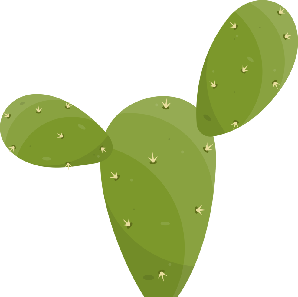 dessin animé désert cactus plante png