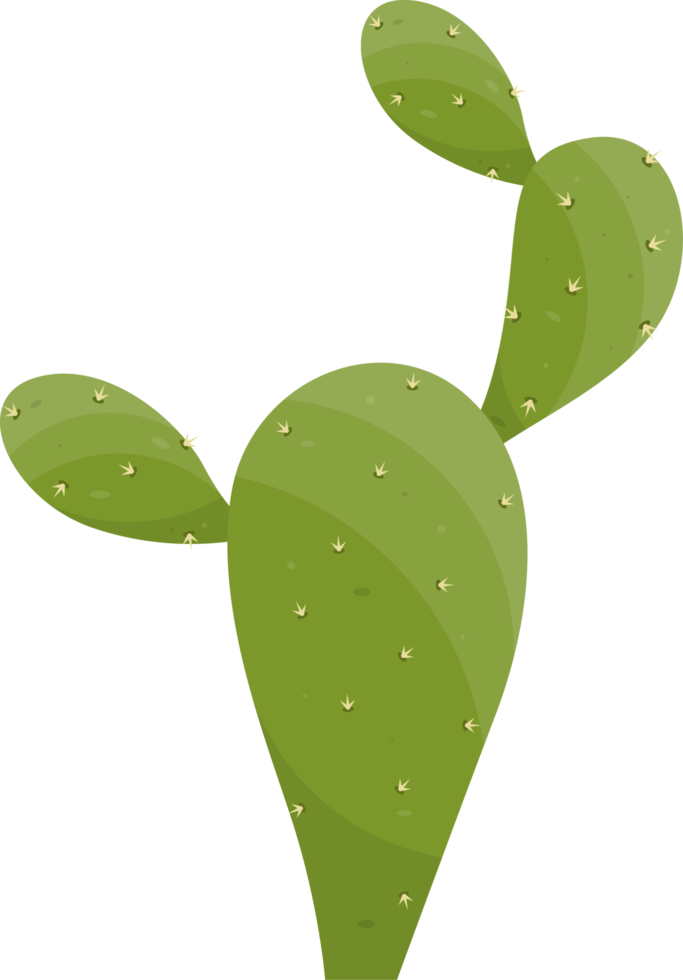 Cartoon desert cactus plant png