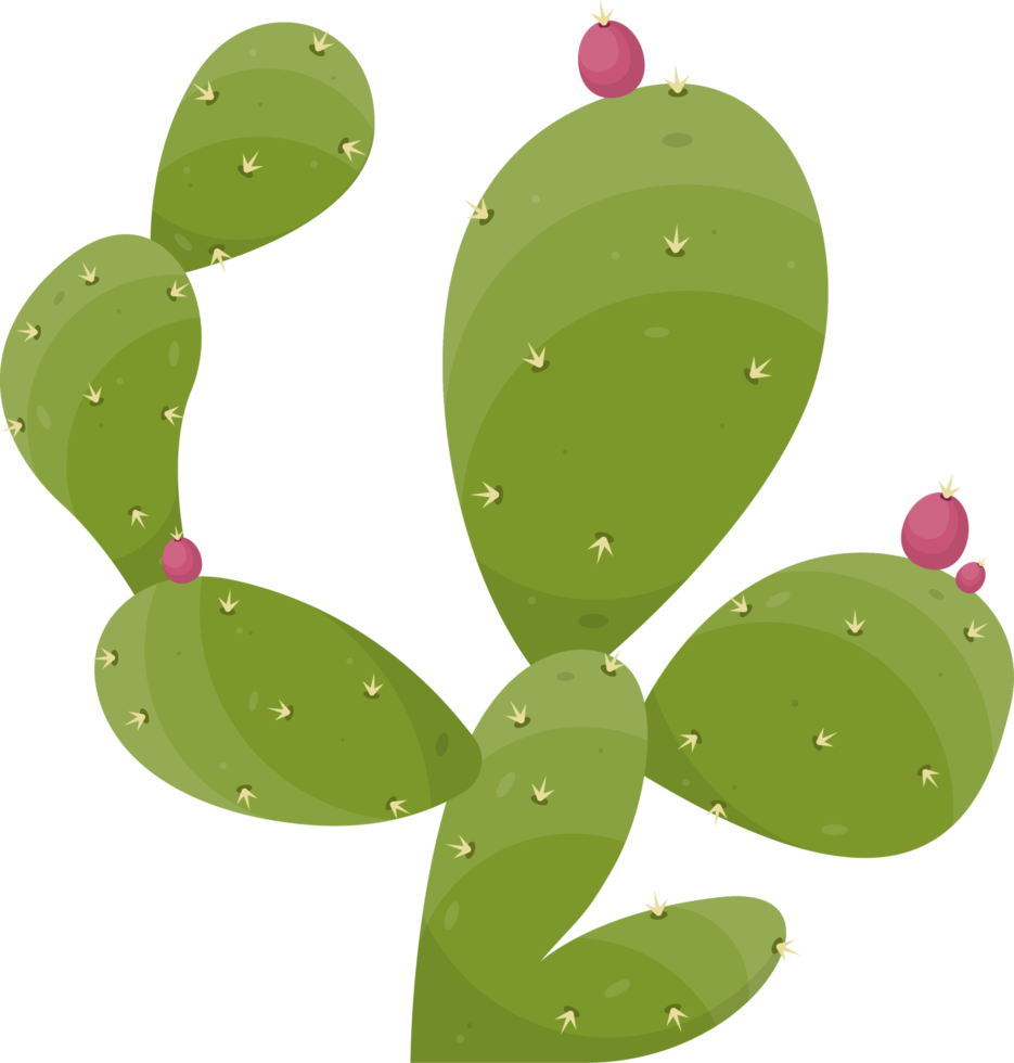 Cartoon desert cactus plant png