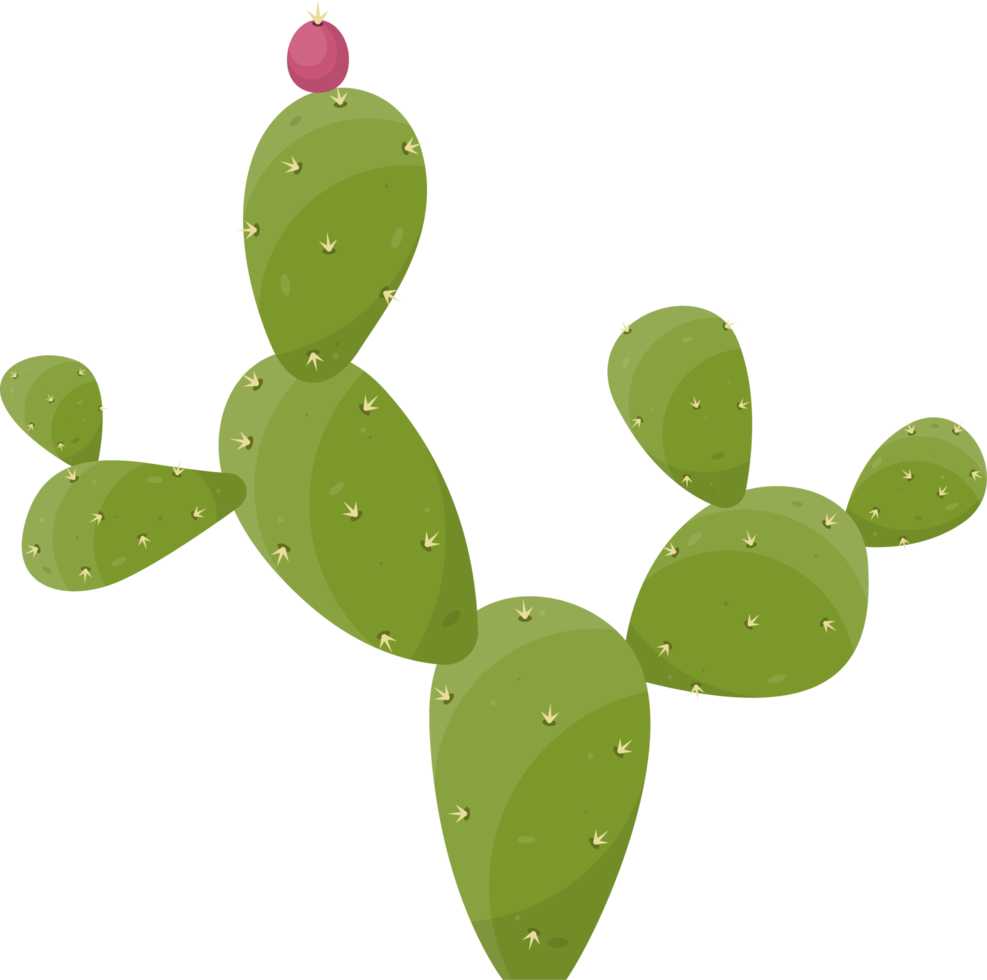 Cartoon desert cactus plant png