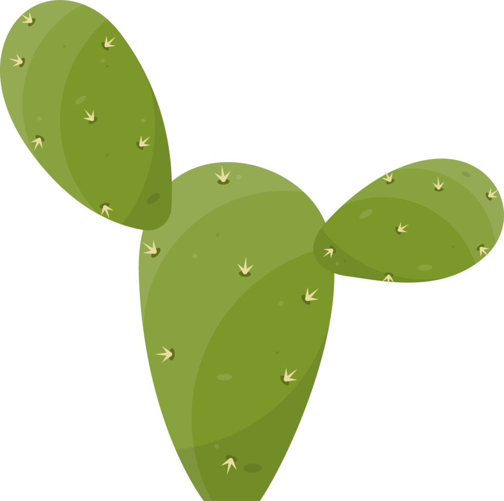 Cartoon desert cactus plant png