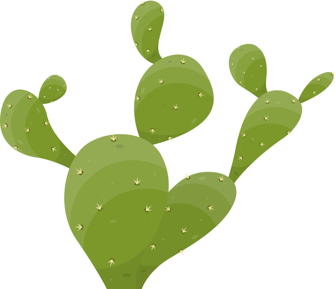 dibujos animados Desierto cactus planta png