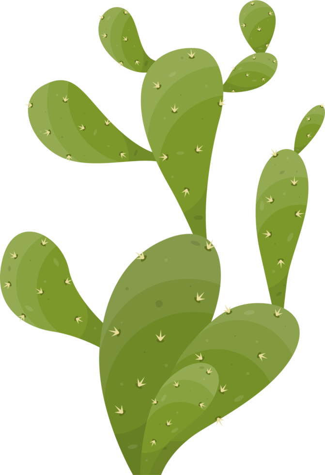 dibujos animados Desierto cactus planta png